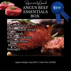 Essentials Box